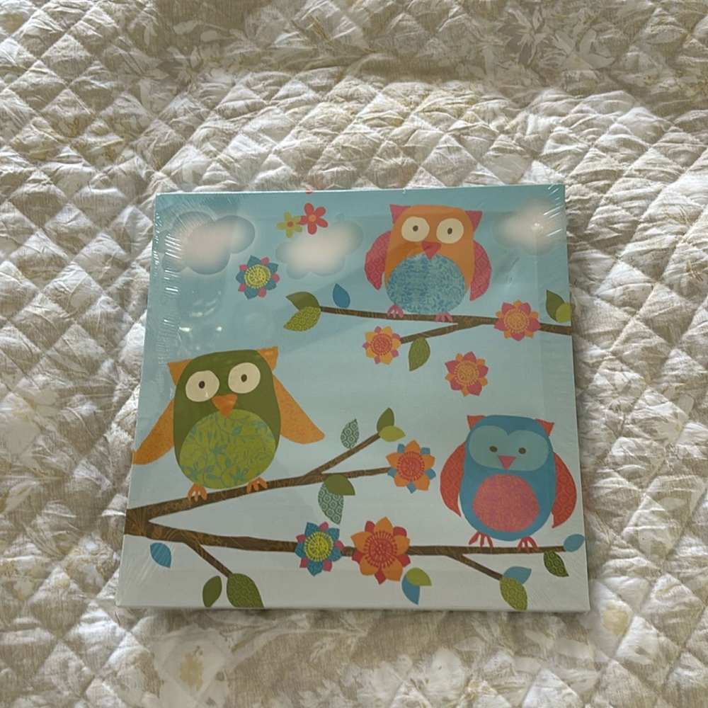 New! Cute Owl Wall Hanging